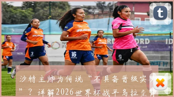 沙特主帅为何说“不具备晋级实力”？详解2026世界杯战平乌拉圭背后，沙特队的真实水平与未来挑战