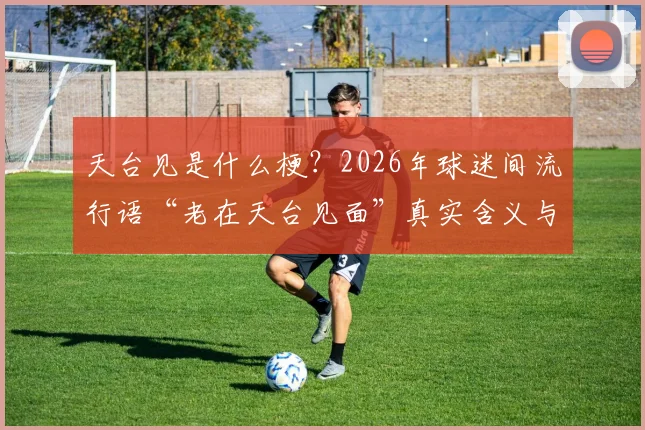 天台见是什么梗？2026年球迷间流行语“老在天台见面”真实含义与出处解析