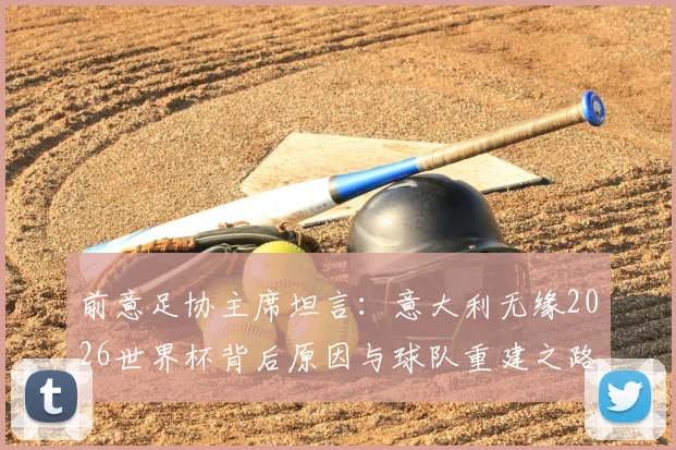 前意足协主席坦言：意大利无缘2026世界杯背后原因与球队重建之路探讨